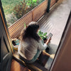 Woman sitting on balcony with smartphone